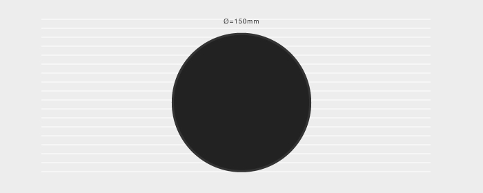 Foam Disc